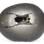 Syamantaka Hari Shaligram