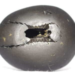 Syamantaka Hari Shaligram