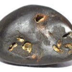 Ananta Shaligram