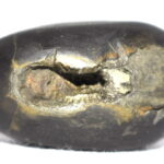 Vasudeva Shaligram