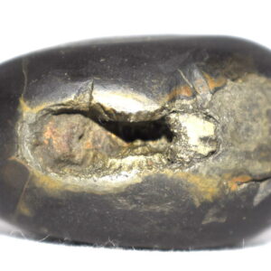 Vasudeva Shaligram