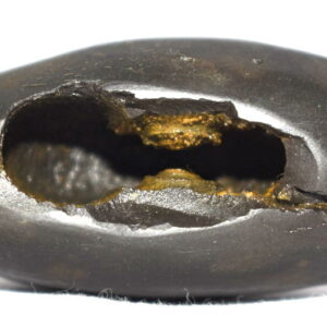 Laxmi Narsimha Shaligram