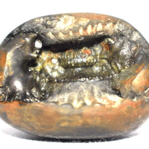 Ugra Narsimha Shaligram