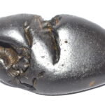 Madhusudhan Shaligram