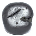Aniruddha Shaligram