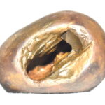 Madhava Shaligram