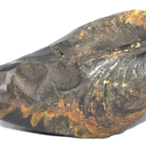 Sarvottam Radha Krishna Aniruddha Shaligram