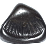 Sarvottam Hrishikesha Shaligram