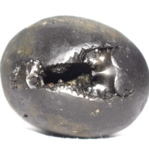LakshmiKanta Shaligram