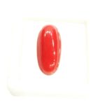 Red Coral - 8.92 Carats