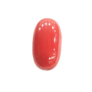 Red Coral - 10.86 Carats