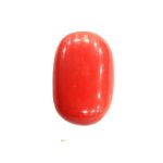 Red Coral - 14.60 Carats
