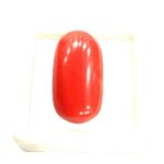 Red Coral - 15.35 Carats