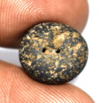 Vaman Shaligram