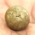 Pitambara Shaligram