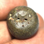 Pradyumna Shaligram