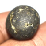 Vasudeva Shaligram