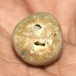 Vasudeva Shaligram