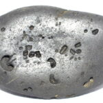 VishvaRupa Shaligram