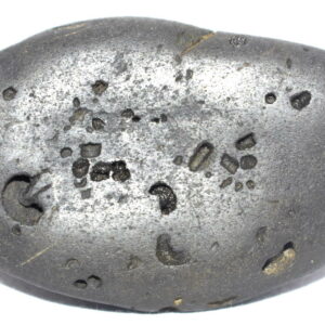 VishvaRupa Shaligram