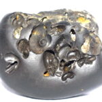 VishvaRupa Shaligram