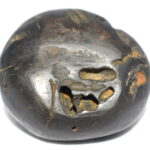 Sita Rama Shaligram