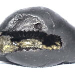 Laxmi Varaha Shaligram