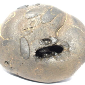 Pattabhi Rama Shaligram