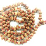 Rare 14 Mukhi Rudraksha Mala - 108+1