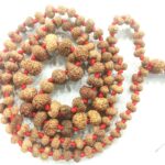Rare 14 Mukhi Rudraksha Mala - 108+1