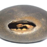Madhava Shaligram