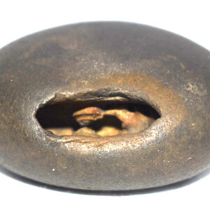 Madhava Shaligram