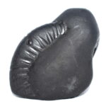 Adwaitya Golden Laxmi Vanamala Ganesha Shaligram
