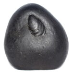 Adwaitya Sarvottam Krishna Aniruddha Shaligram