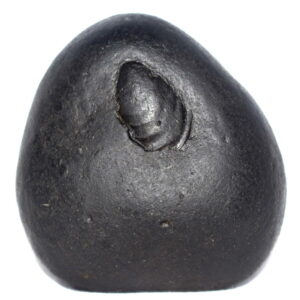 Adwaitya Sarvottam Krishna Aniruddha Shaligram