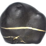 Sacred Adwaitya Laxmi Sudardhan Shweta Jenuyadhari Vaman Narayan Shaligram