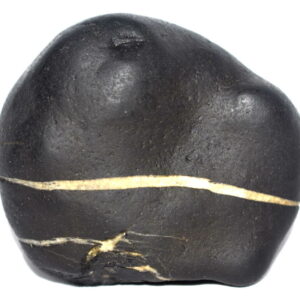 Sacred Adwaitya Laxmi Sudardhan Shweta Jenuyadhari Vaman Narayan Shaligram