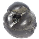 Sacred Adwaitya Golden Bhur Bhavas Gayatri Kamal Mahalaxmi Vaikuntha Shaligram