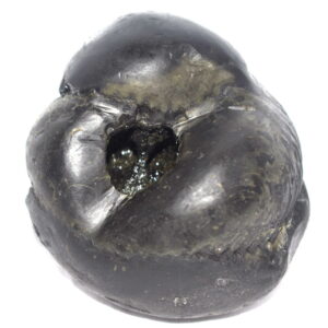 Sacred Adwaitya Golden Bhur Bhavas Gayatri Kamal Mahalaxmi Vaikuntha Shaligram