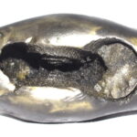 Rare Big Size Laxmi Narsimha Shaligram