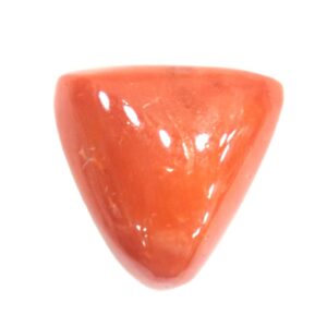 Red Coral Triangular - 14.17 Carats