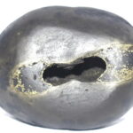 Rare Big Size PundariKaksha Shaligram