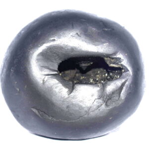 Rare Big Size Padmanabha Shaligram