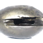 Rare Big Size Vishnu Shaligram