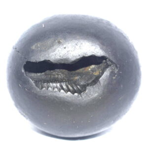 Santan Gopala Shaligram