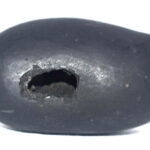 Hamsa Shaligram