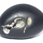 RaghuNatha Shaligram