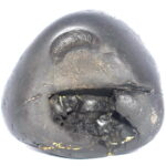 Trivikrama Shaligram