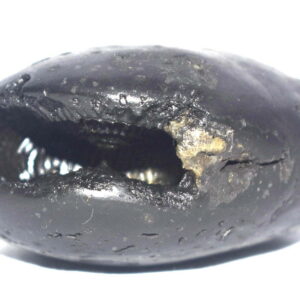 Matsya Shaligram