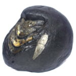 Sarvottam Golden Laxmi Padmavati Shweta Tilak Srinivasa Venkateshwara Shaligram